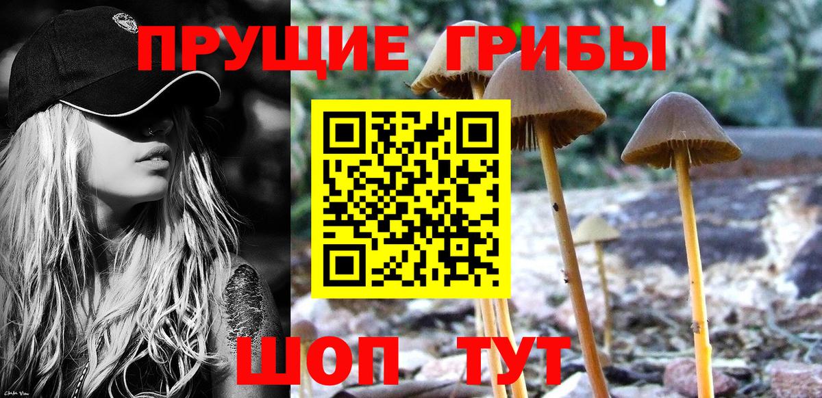 Псилоцибиновые грибы Magic Shrooms Коркино