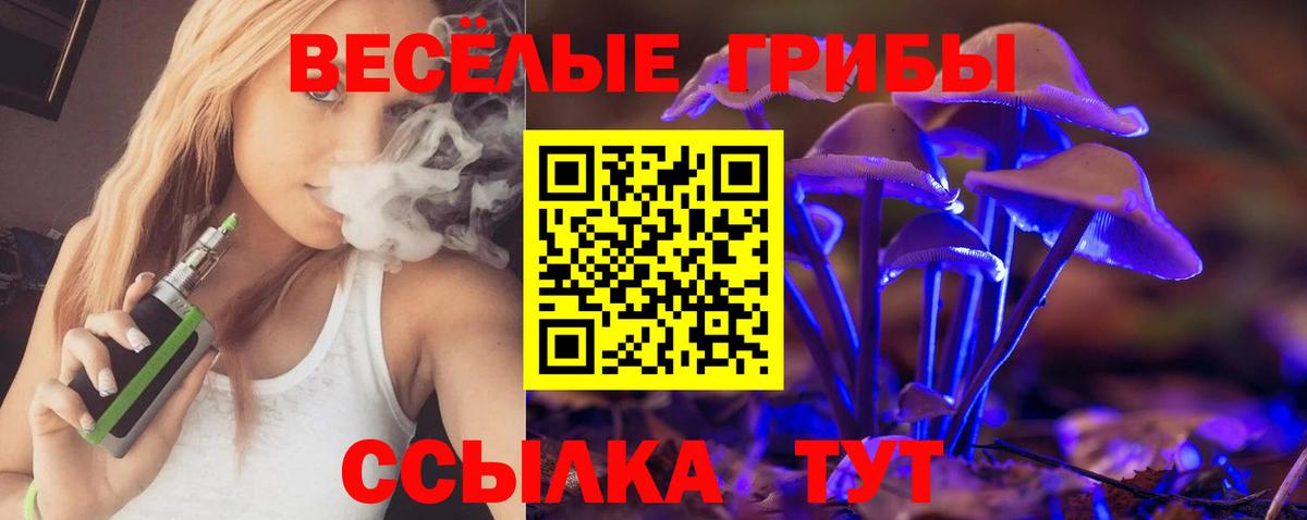Коркино  как найти закладки  Вход с VPN  Псилоцибиновые грибы ЛСД  Галлюциногенные грибы мицелий 